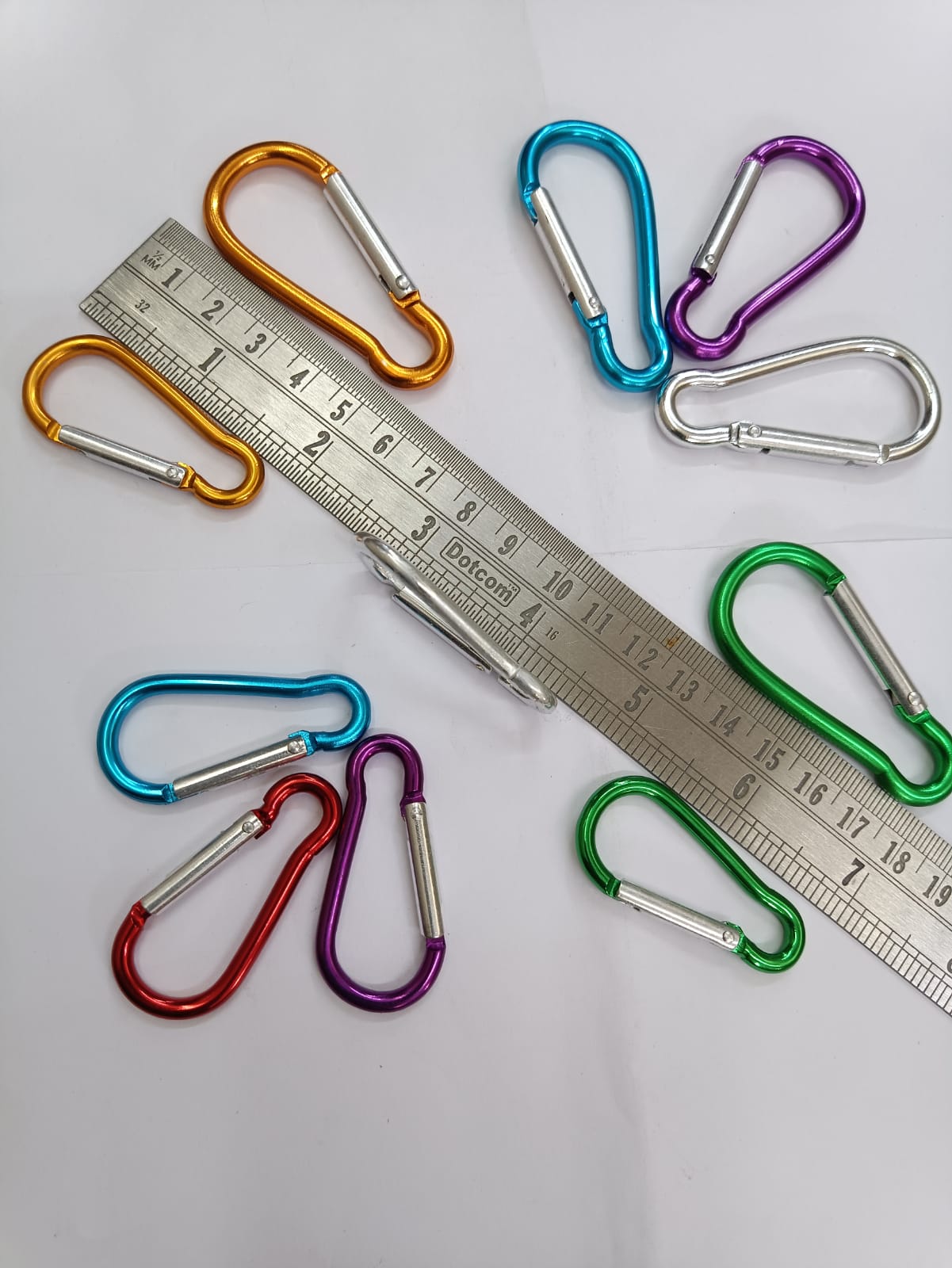 clip with key ring